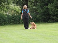 Bendix und das Boxband (30)